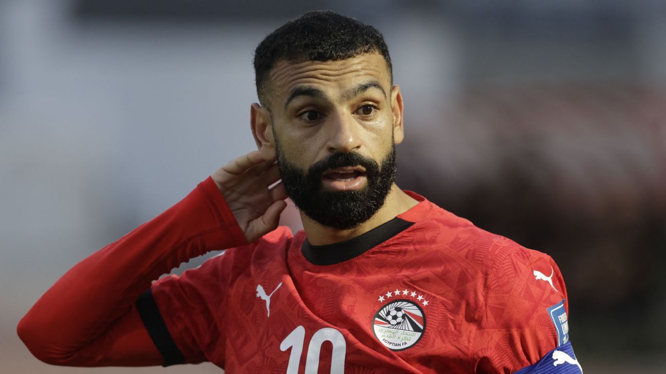 FIFA要求埃及世界杯球衣移除七颗星 号码改为白色